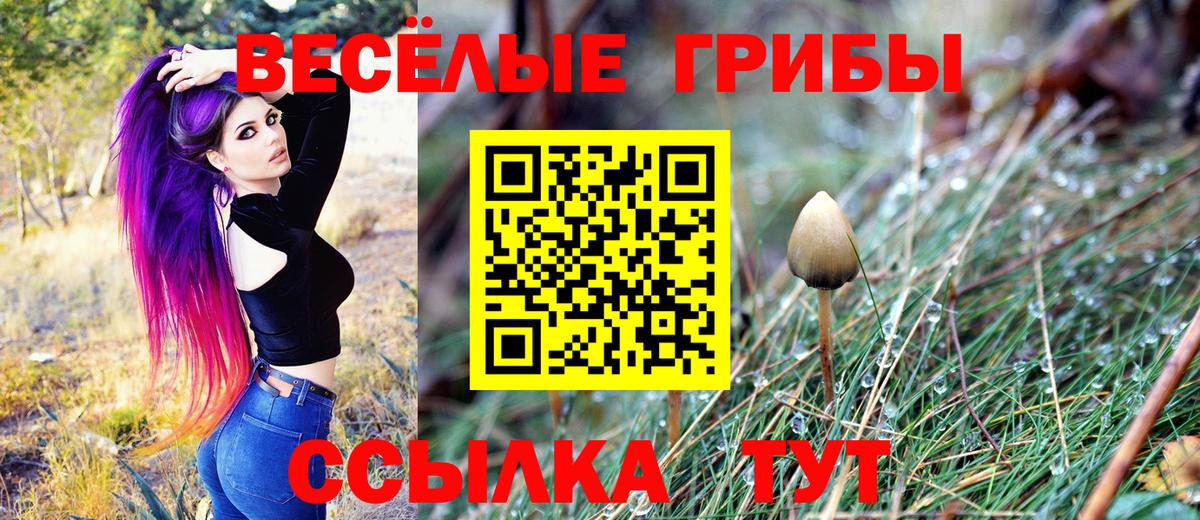 Галлюциногенные грибы ЛСД Алексеевка